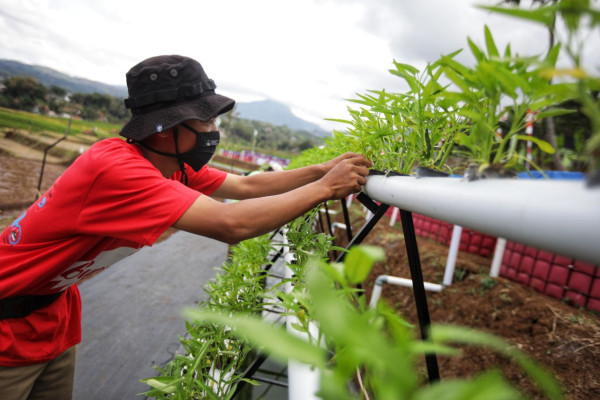 Sekemala Integrated Farming